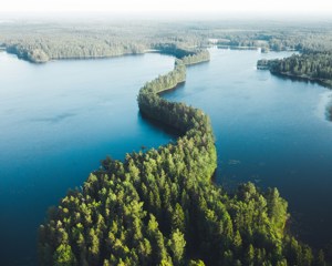 Taneli Lahtinen Howilzyqez8 Unsplash
